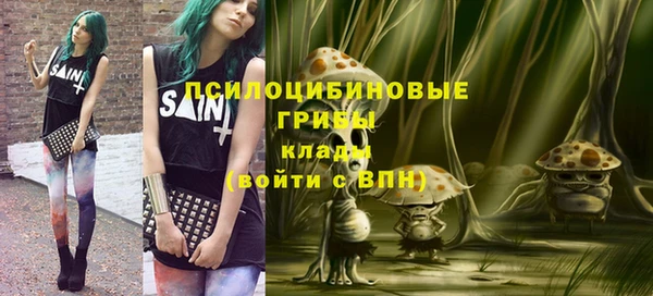 трава Краснослободск