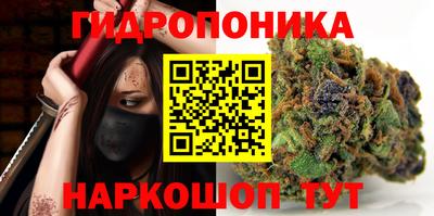 СК Камышлов