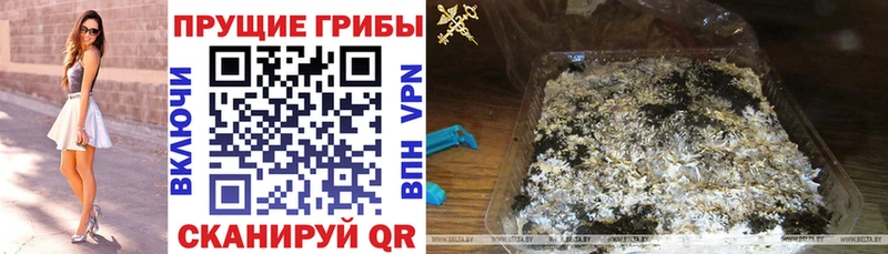 Галлюциногенные грибы мицелий  Новочеркасск 