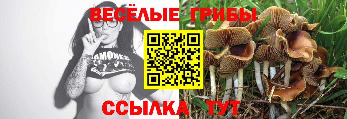Псилоцибиновые грибы MAGIC MUSHROOMS  Вход с VPN  Новочеркасск  Псилоцибиновые грибы Psilocybe 